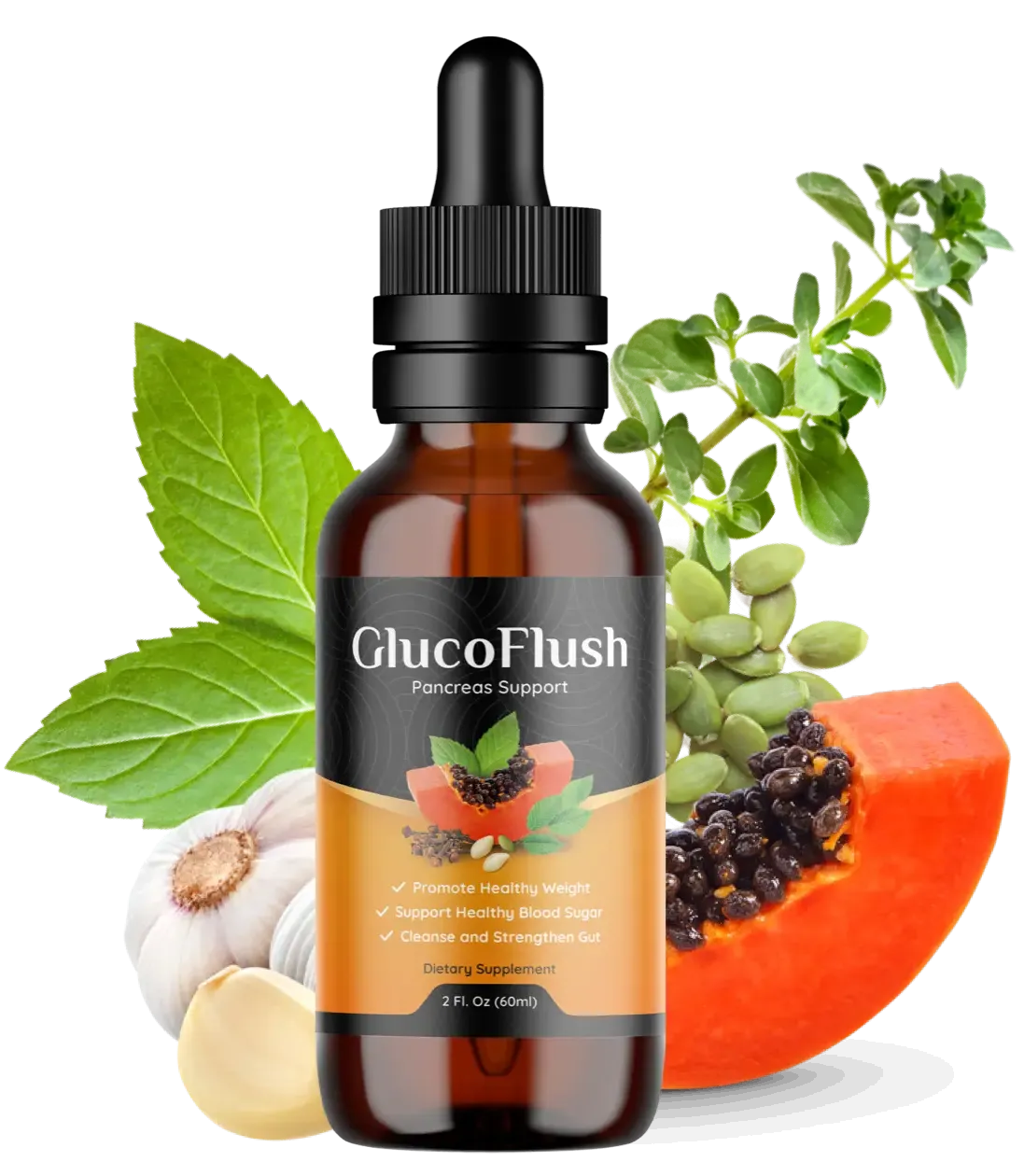 GlucoFlush home page